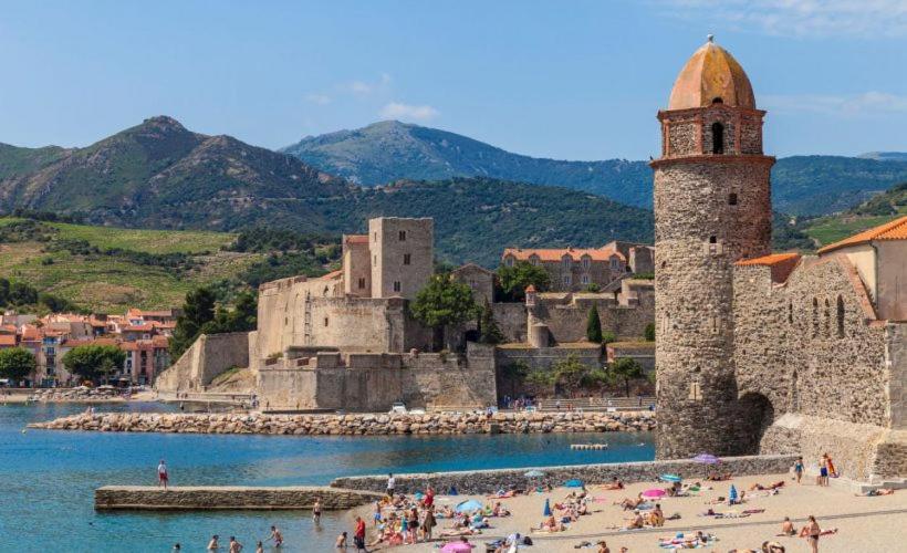 Petit Nid Catalan , 10 Minutes Des Plages بيربينيو المظهر الخارجي الصورة